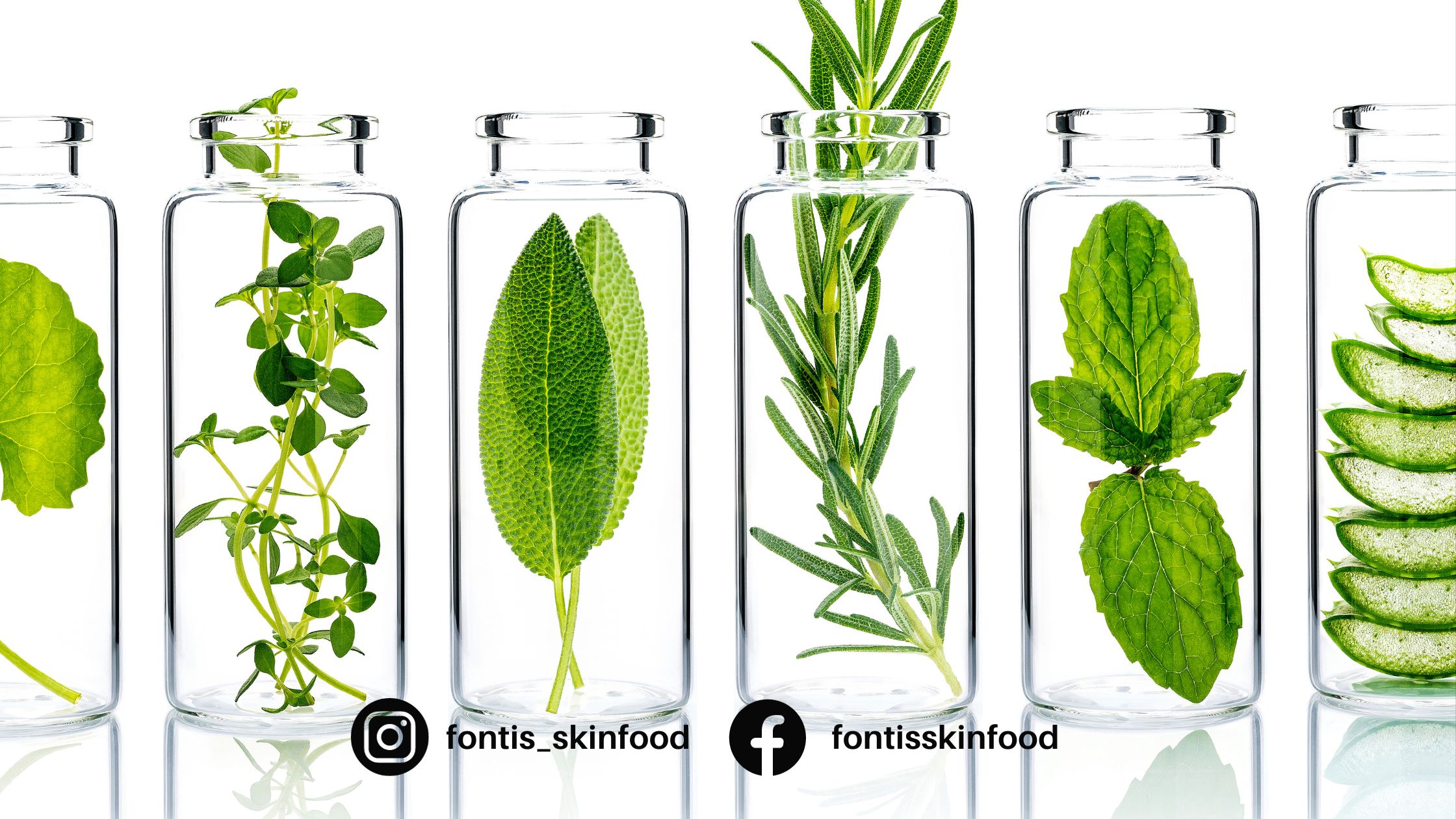 5 Reasons Fontis Skinfood Will Become Your New Skincare Solution