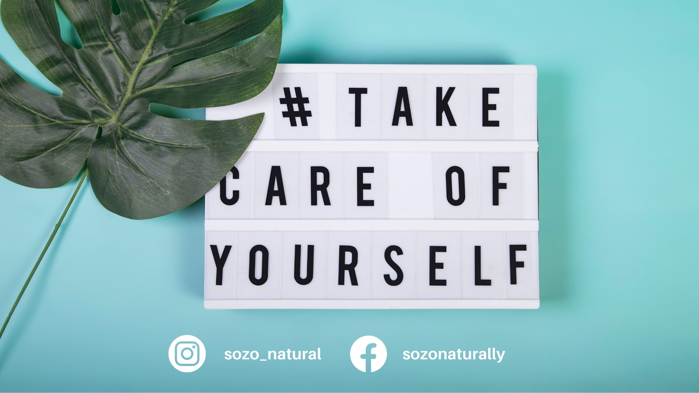 Nurturing Wholeness: Unlocking the Secrets of the Skeletal System – A SO-ZO Natural Discussion