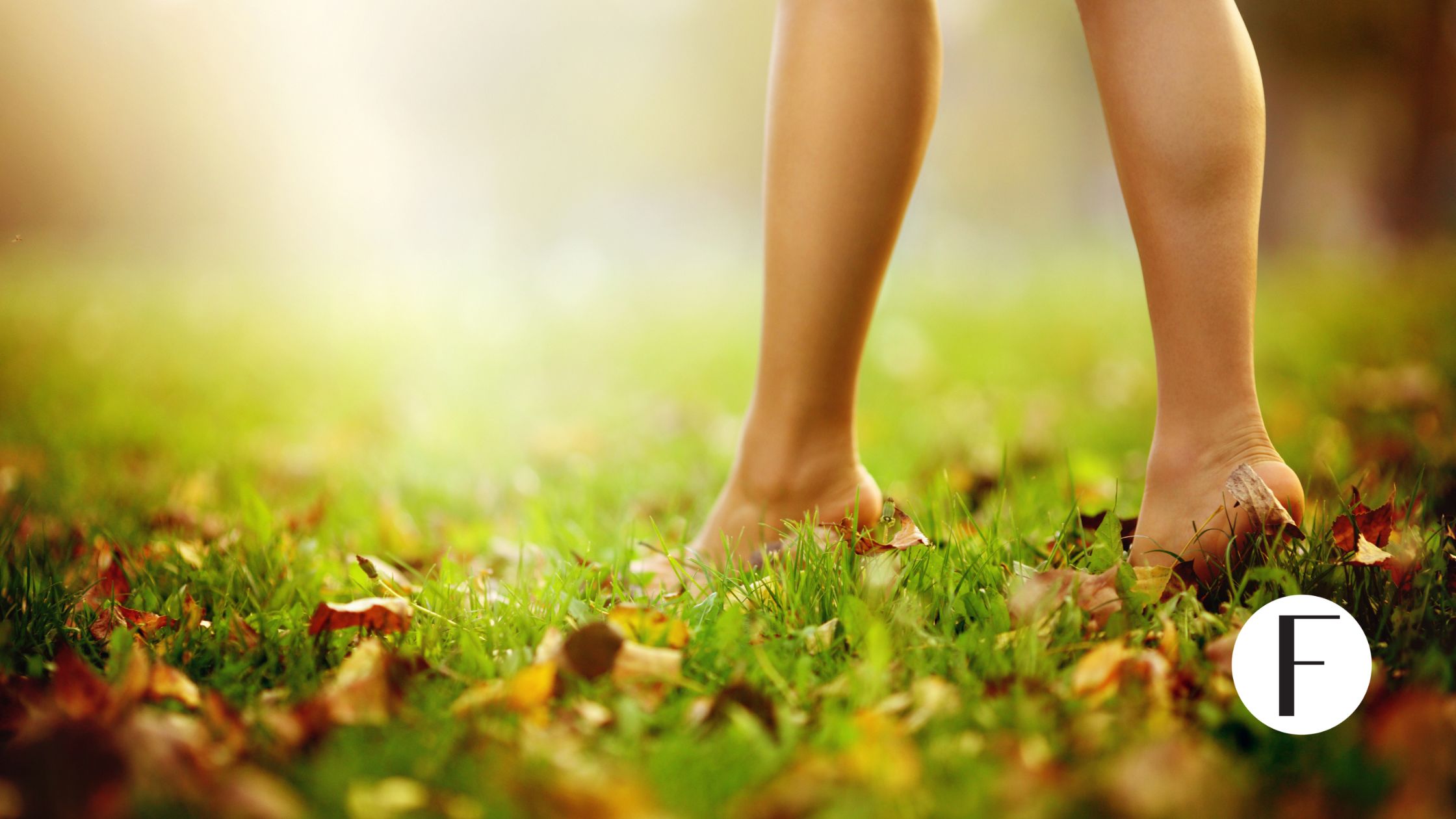 The Gentle Art of Change: Navigating Life’s Seasons with Calm